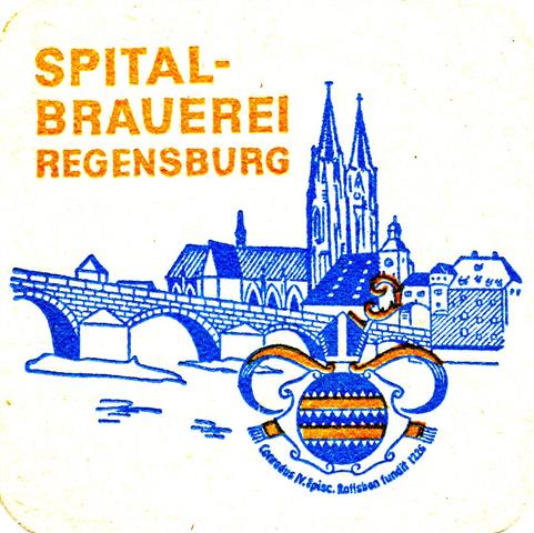 regensburg r-by spital quad 1a (185-brcke & dom-blauorange)